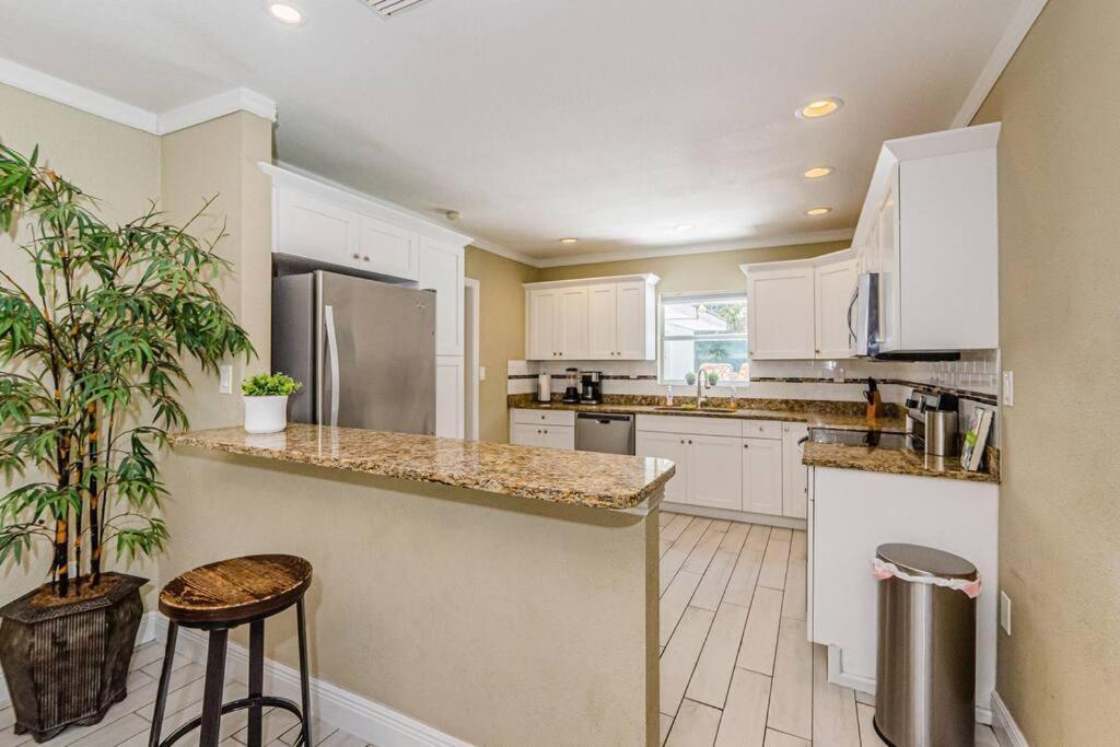 Beautiful Pool House In Old Seminole Heights! Tampa Exterior foto